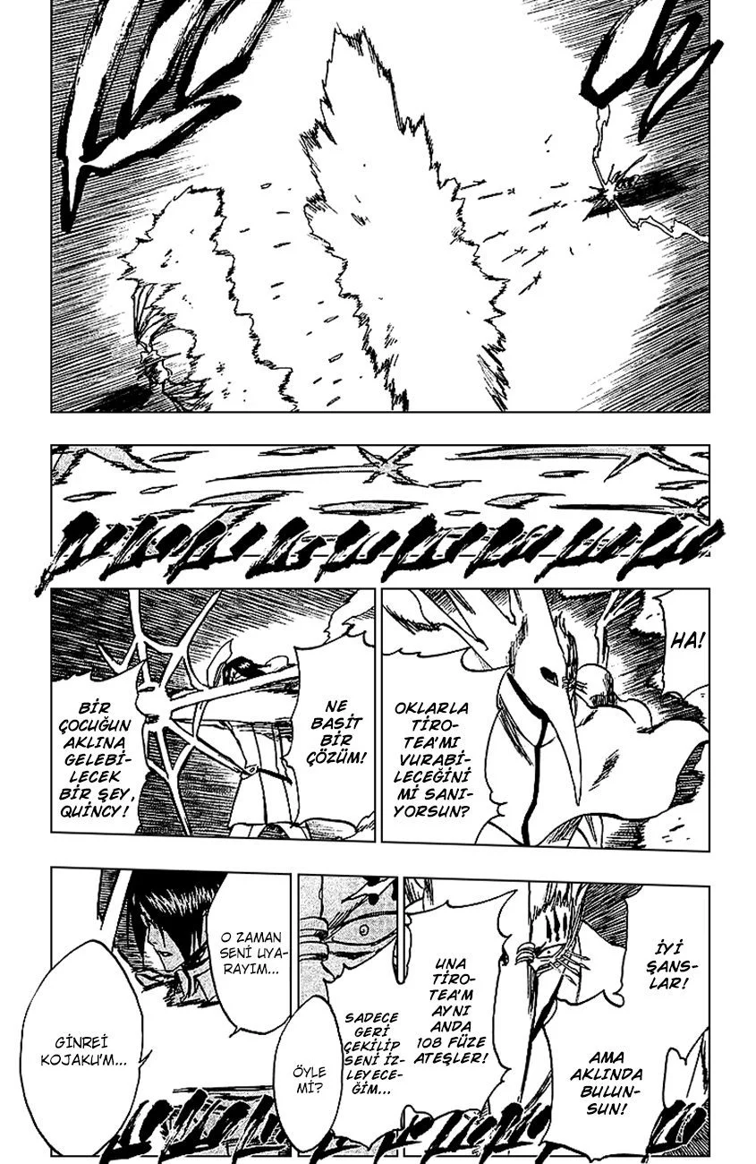 Bleach - Bölüm 243 - Sayfa 13