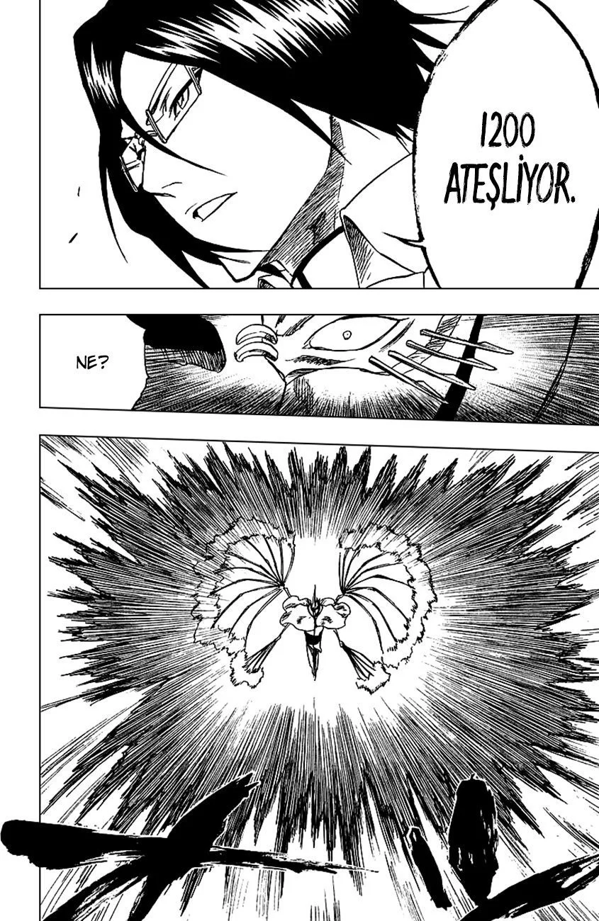 Bleach - Bölüm 243 - Sayfa 14