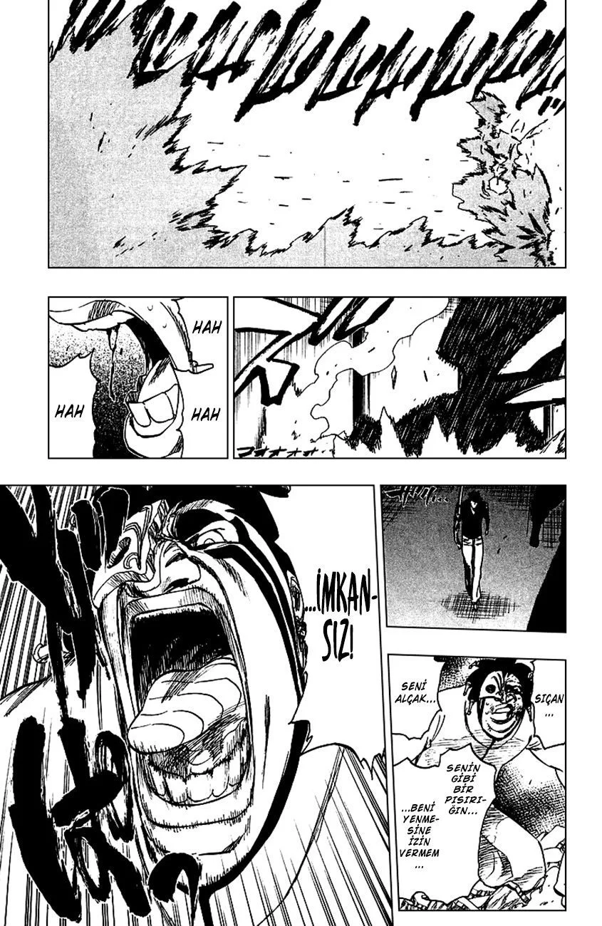 Bleach - Bölüm 243 - Sayfa 15