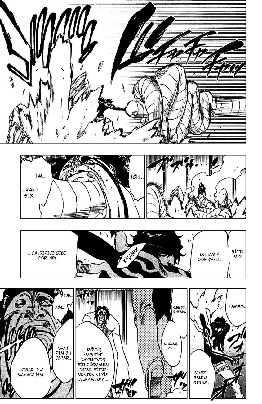 Bleach - Bölüm 243 - Sayfa 17