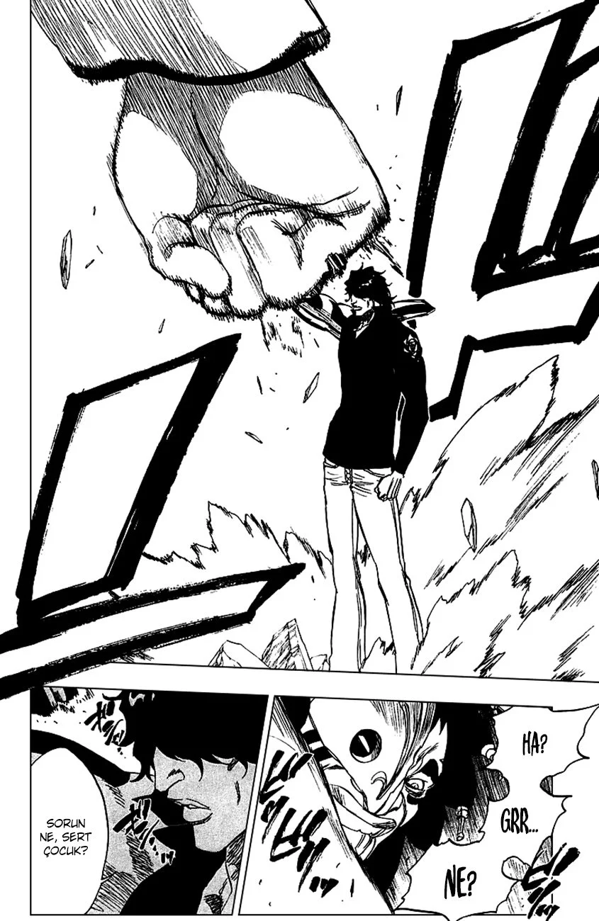 Bleach - Bölüm 243 - Sayfa 8