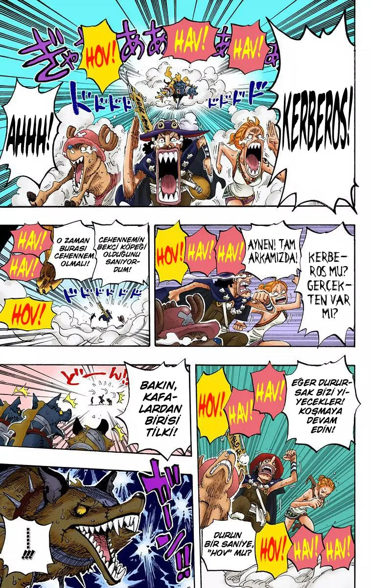 One Piece - Bölüm 444 - Sayfa 17