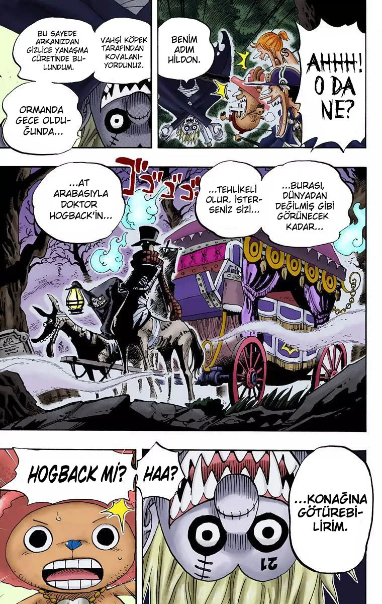 One Piece - Bölüm 444 - Sayfa 19