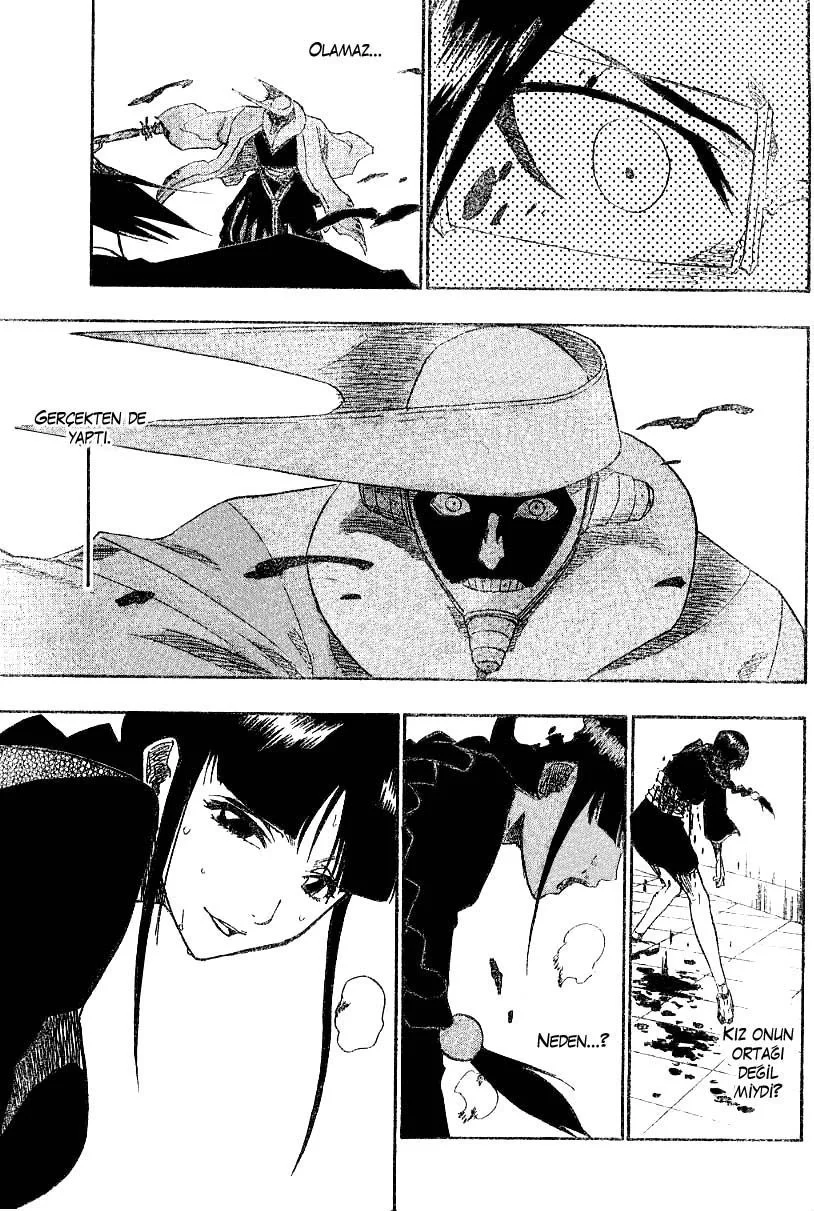 Bleach - Bölüm 122 - Sayfa 17