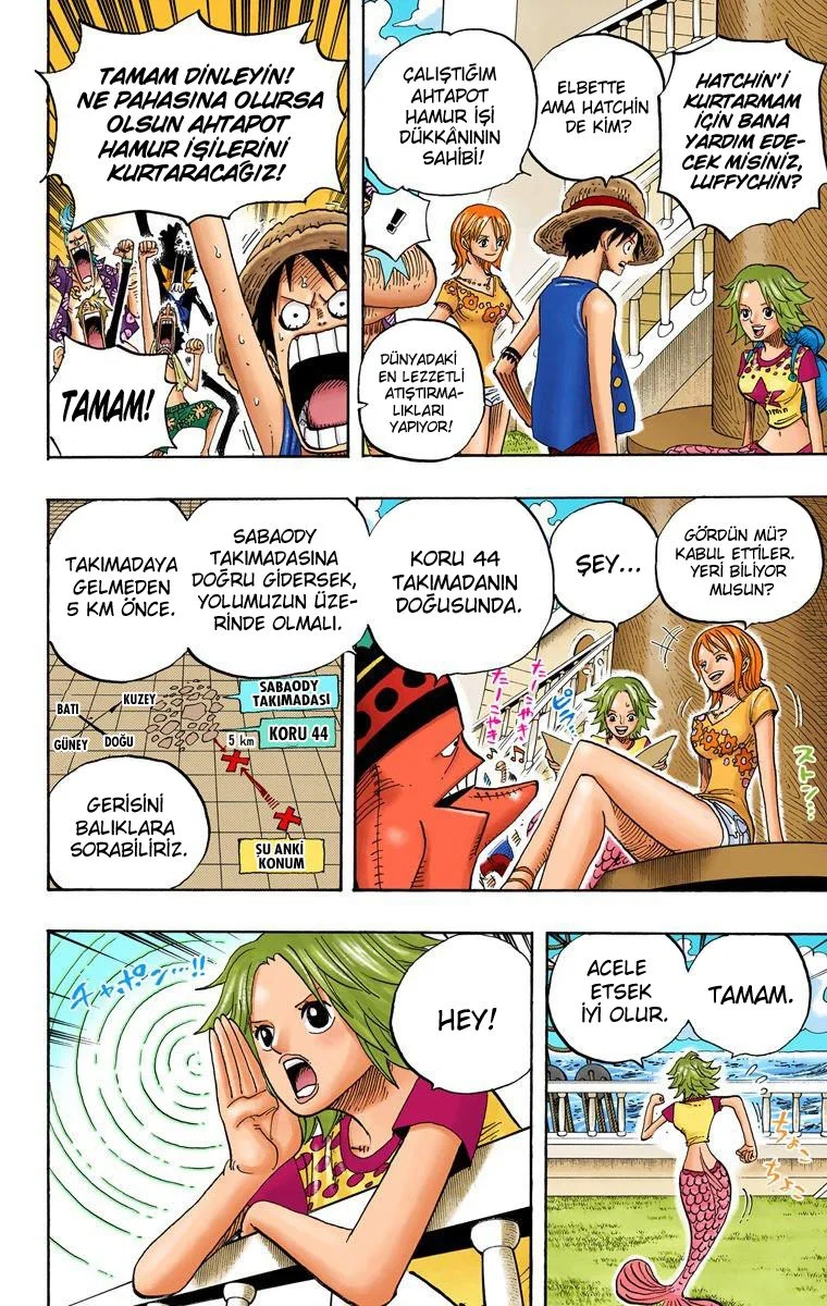 One Piece - Bölüm 491 - Sayfa 10