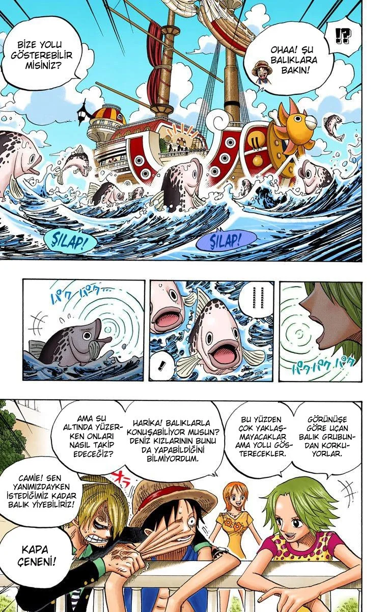 One Piece - Bölüm 491 - Sayfa 11