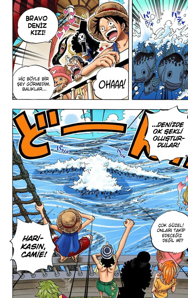 One Piece - Bölüm 491 - Sayfa 12