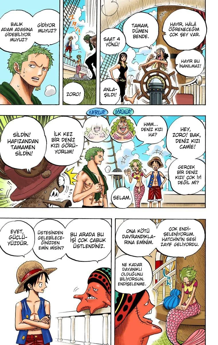 One Piece - Bölüm 491 - Sayfa 13