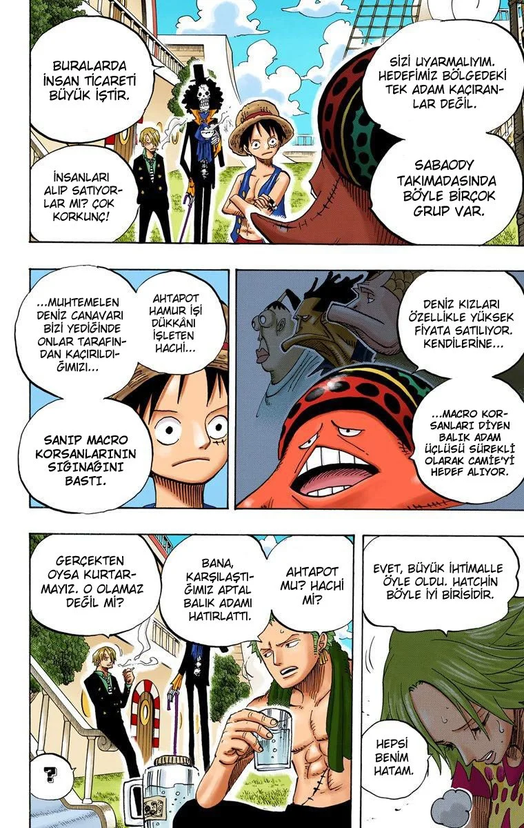 One Piece - Bölüm 491 - Sayfa 14