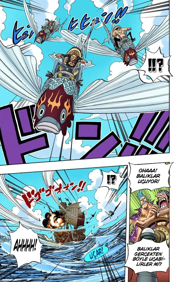 One Piece - Bölüm 491 - Sayfa 17