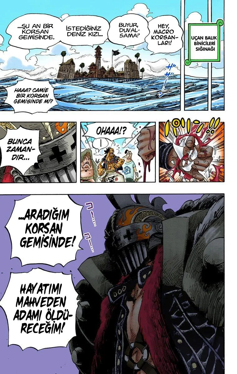 One Piece - Bölüm 491 - Sayfa 19