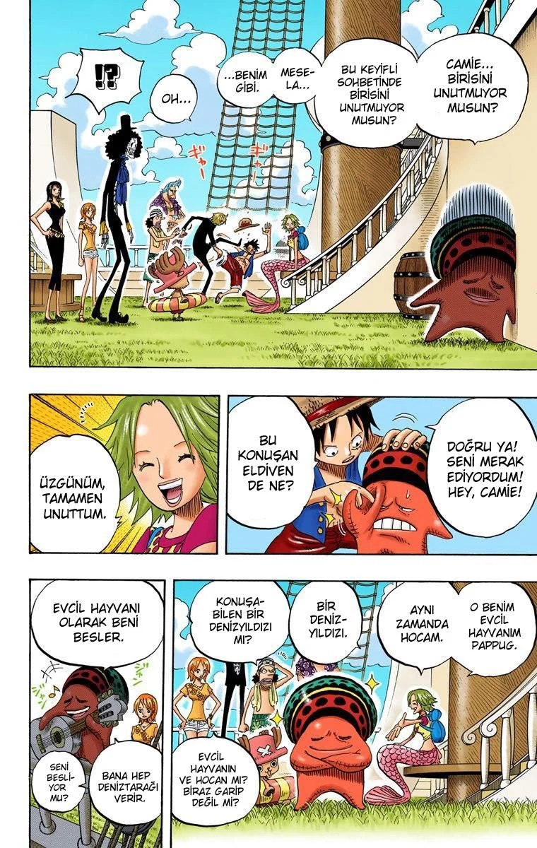 One Piece - Bölüm 491 - Sayfa 4