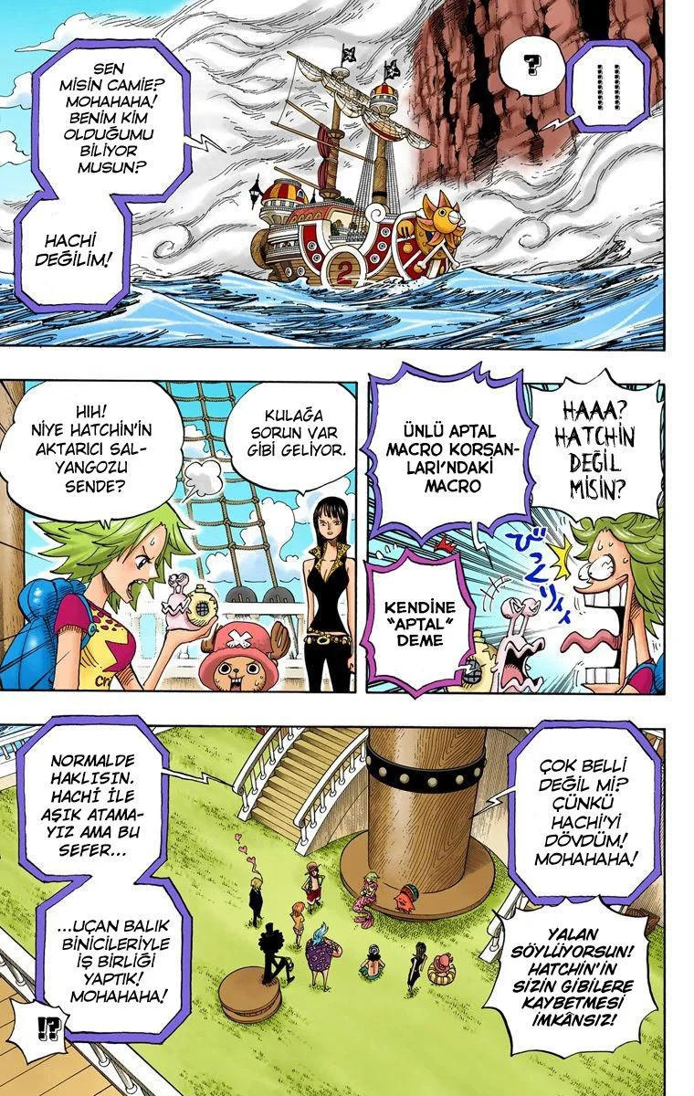 One Piece - Bölüm 491 - Sayfa 7