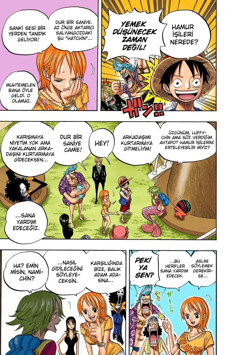 One Piece - Bölüm 491 - Sayfa 9