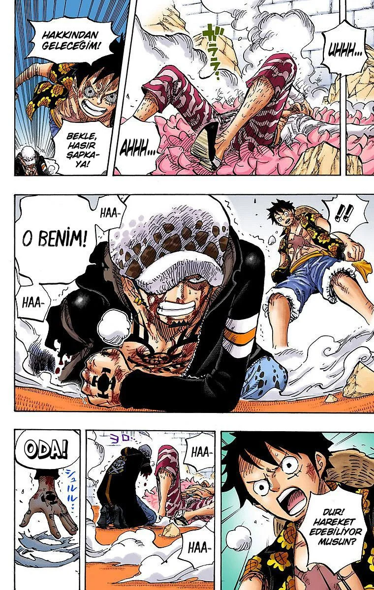 One Piece - Bölüm 781 - Sayfa 13