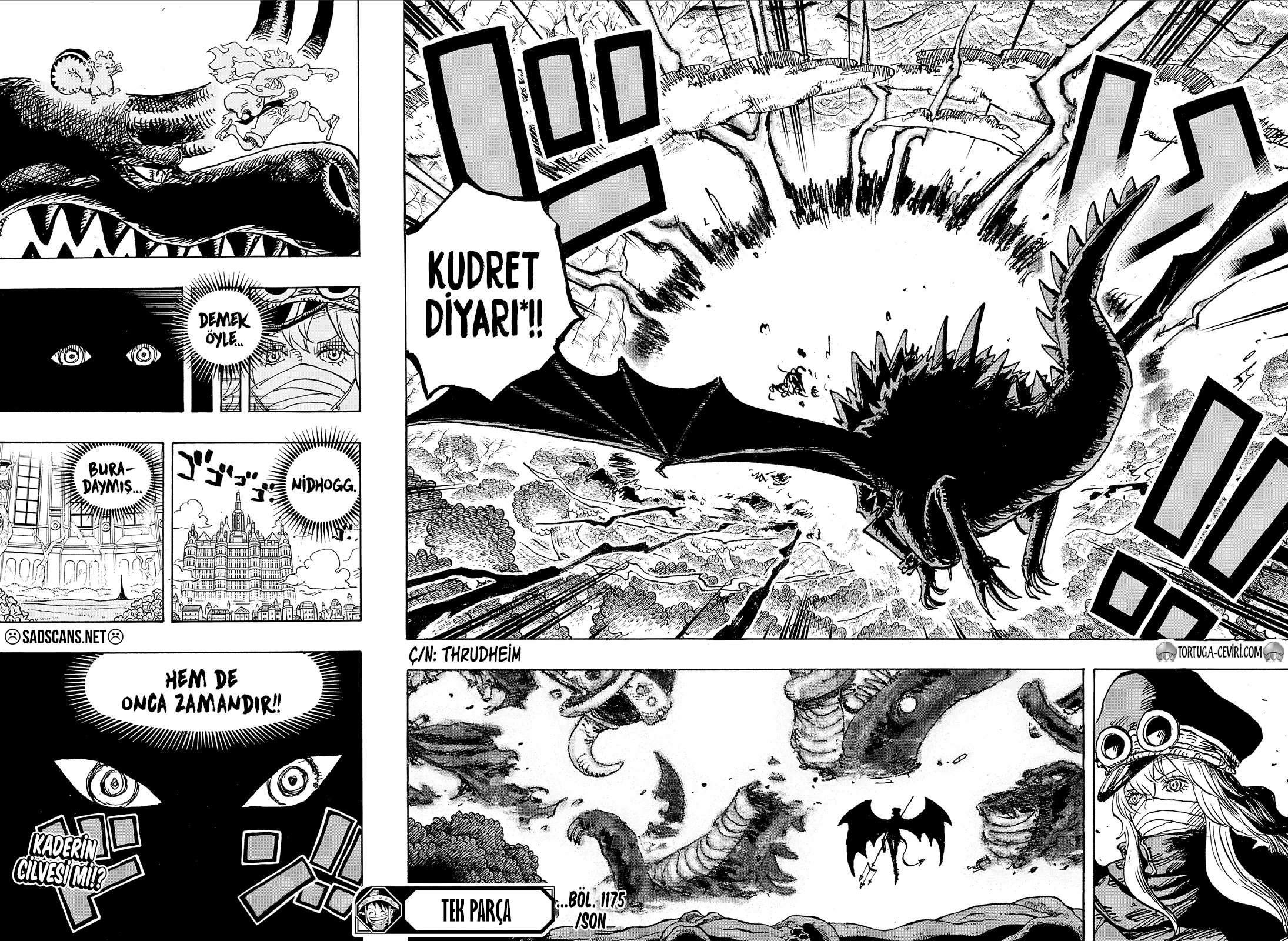 One Piece - Bölüm 1175 - Sayfa 12