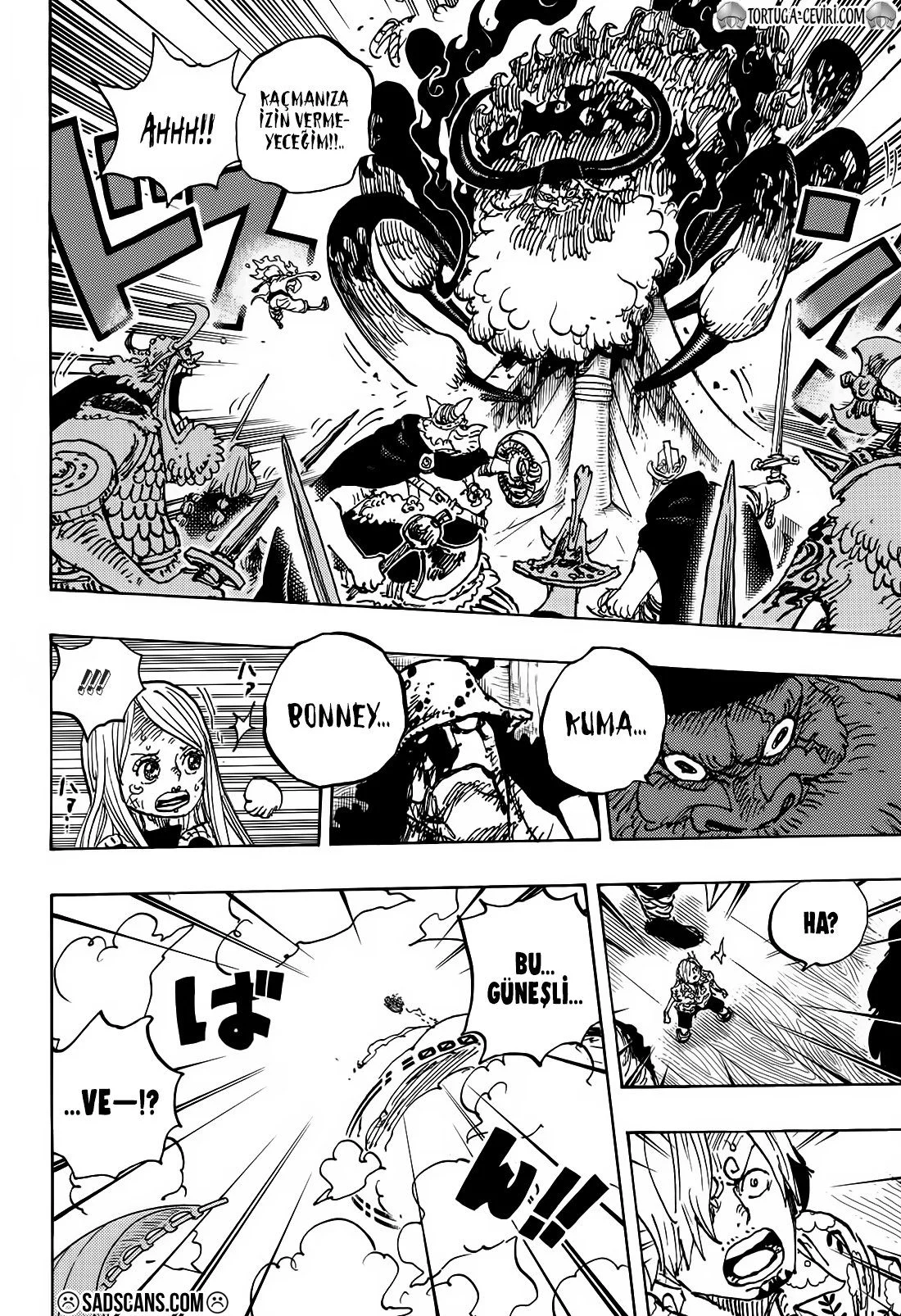 One Piece - Bölüm 1120 - Sayfa 17