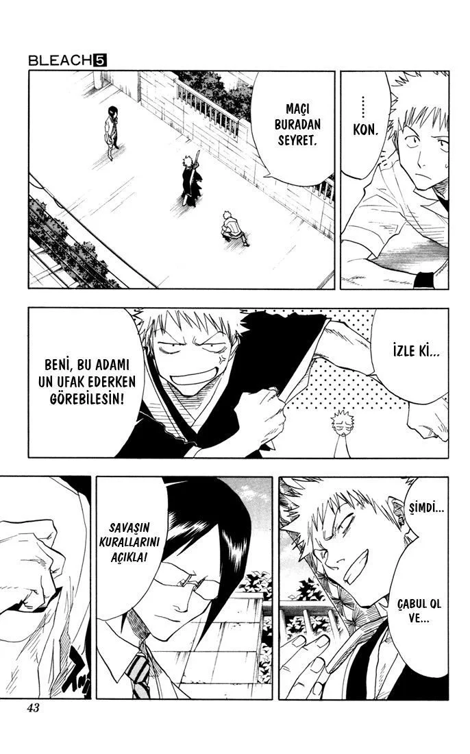 Bleach - Bölüm 36 - Sayfa 17