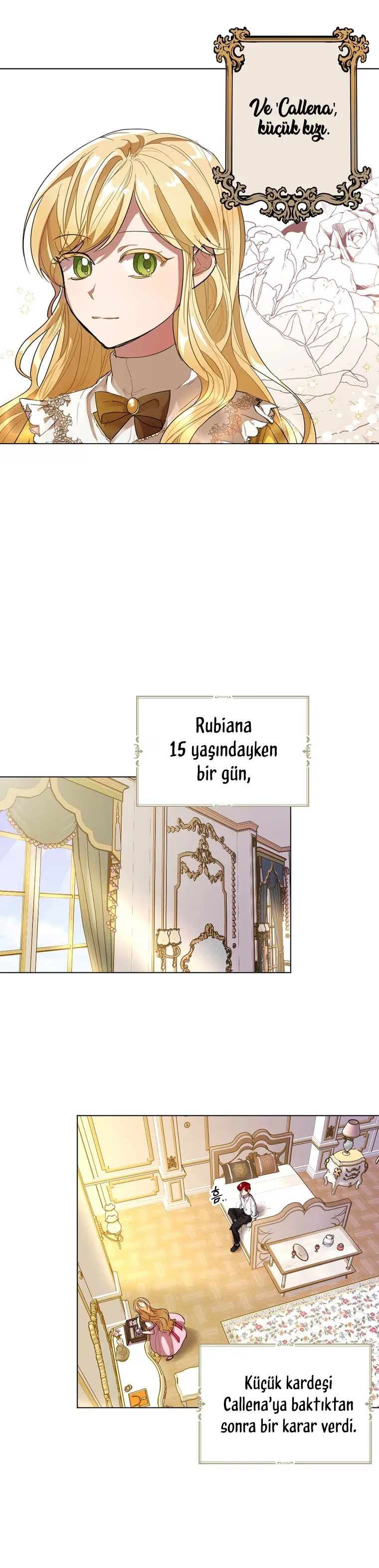 The Duke of Ashleyan's Contractual Marriage - Bölüm 1 - Sayfa 8