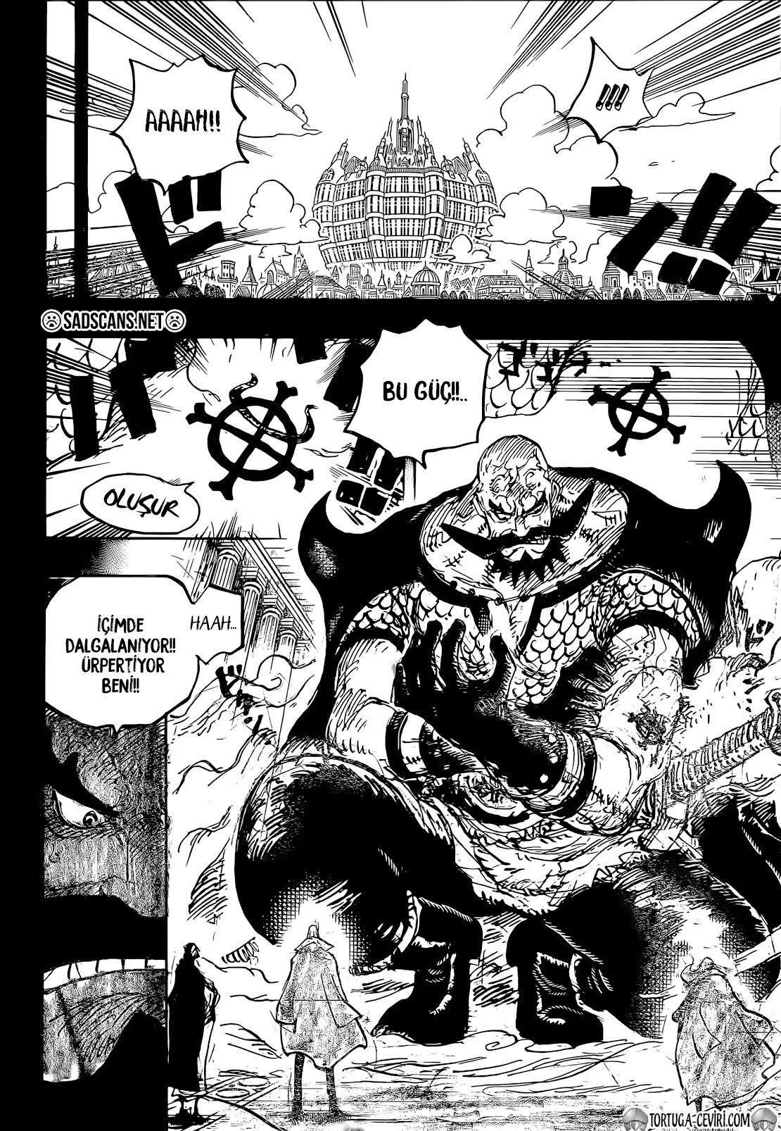 One Piece - Bölüm 1168 - Sayfa 10