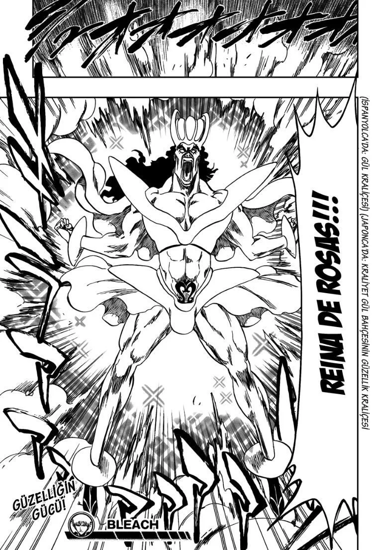 Bleach - Bölüm 320 - Sayfa 19