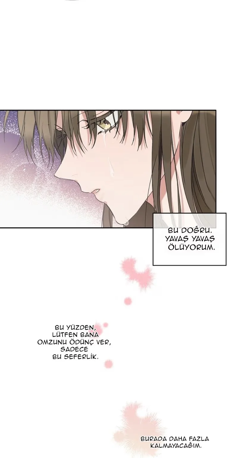 Give Me a Flower, and I’ll Give You All of Me - Bölüm 11 - Sayfa 26