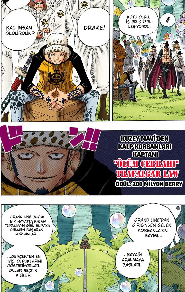 One Piece - Bölüm 498 - Sayfa 18