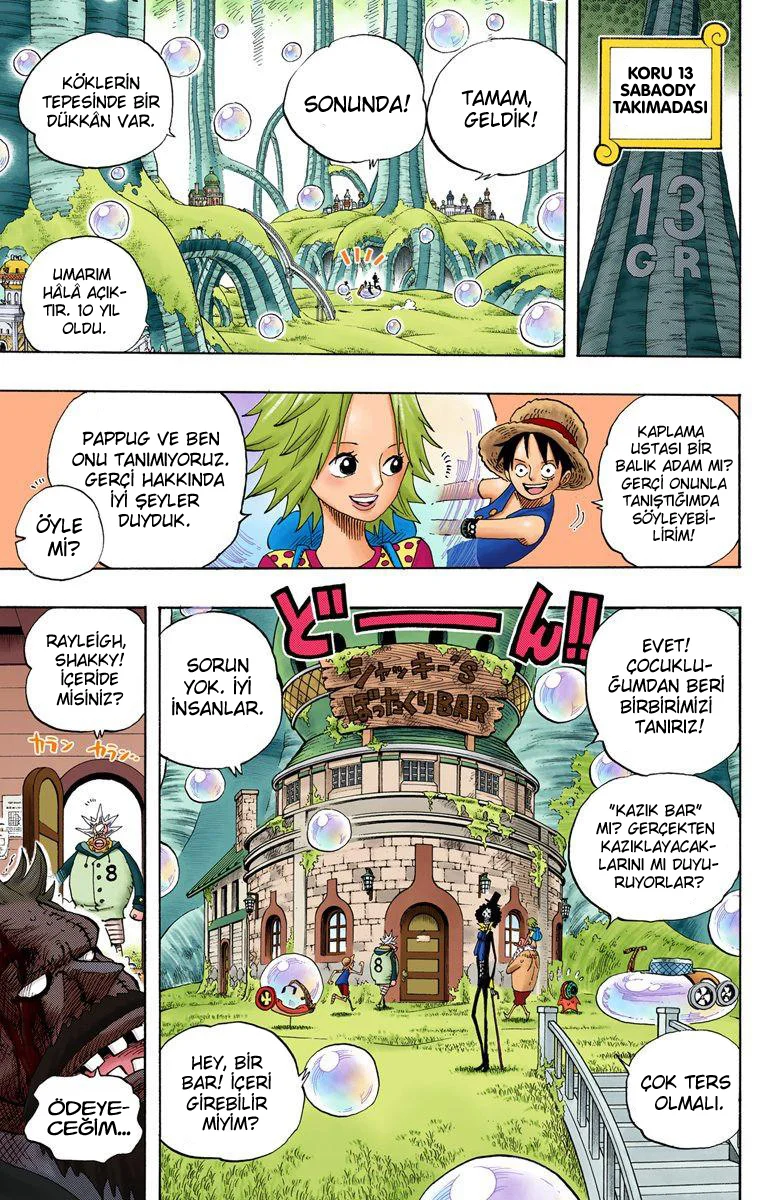 One Piece - Bölüm 498 - Sayfa 5