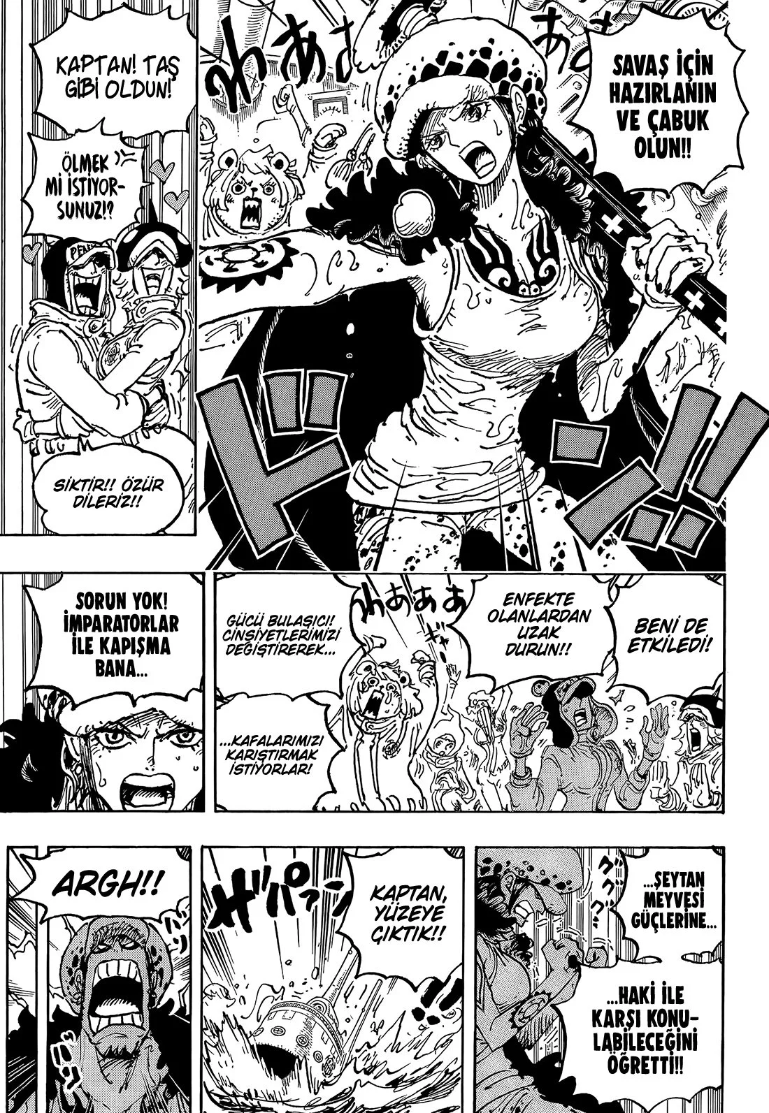 One Piece - Bölüm 1063 - Sayfa 10