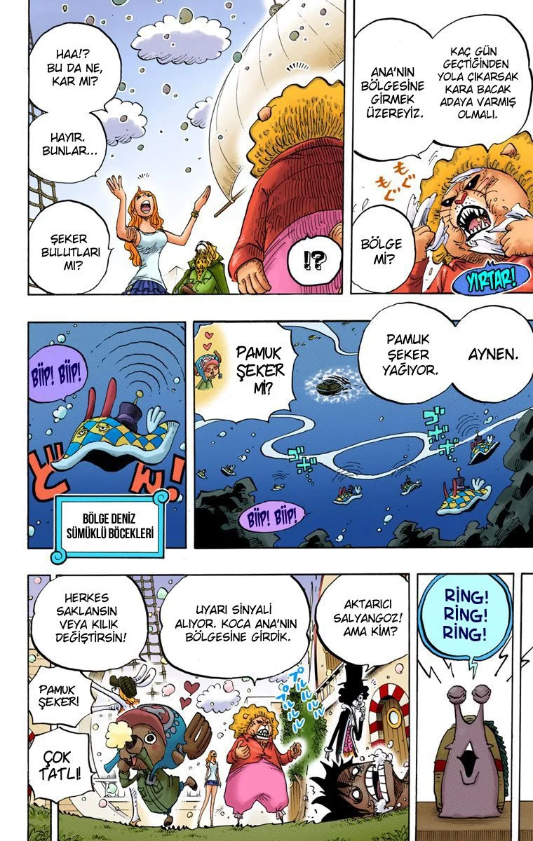 One Piece - Bölüm 825 - Sayfa 12