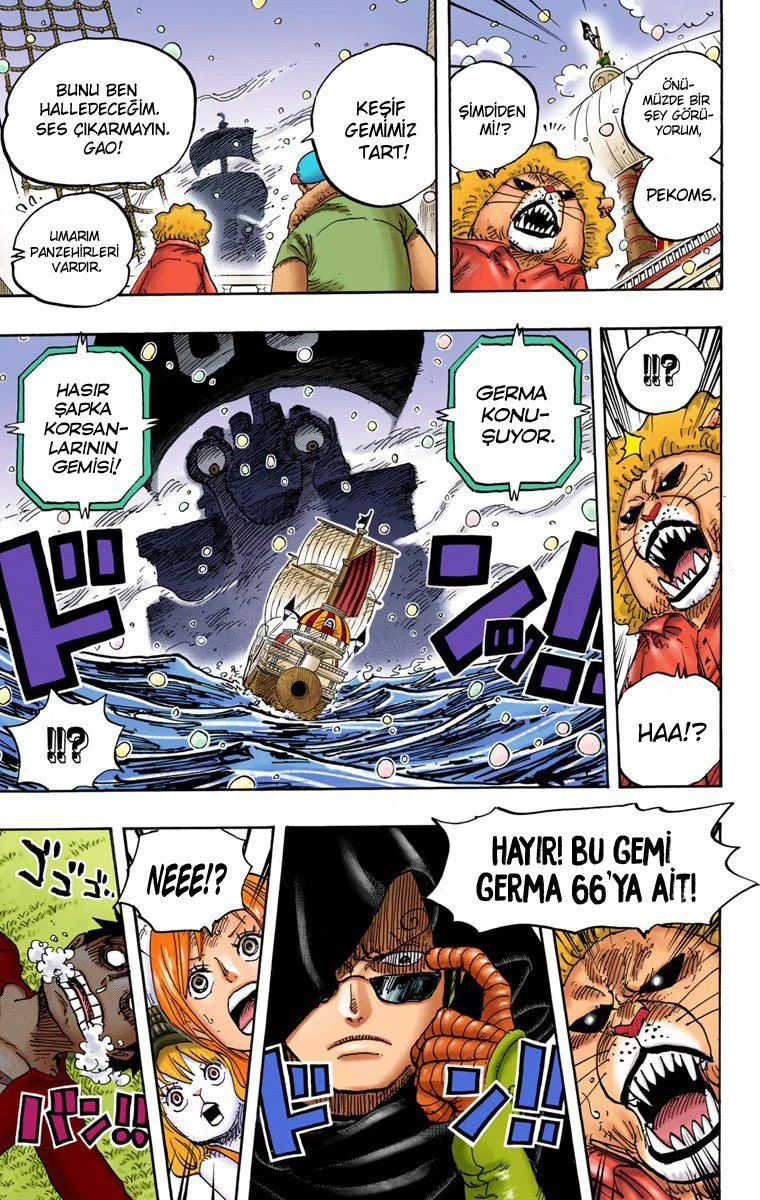 One Piece - Bölüm 825 - Sayfa 13