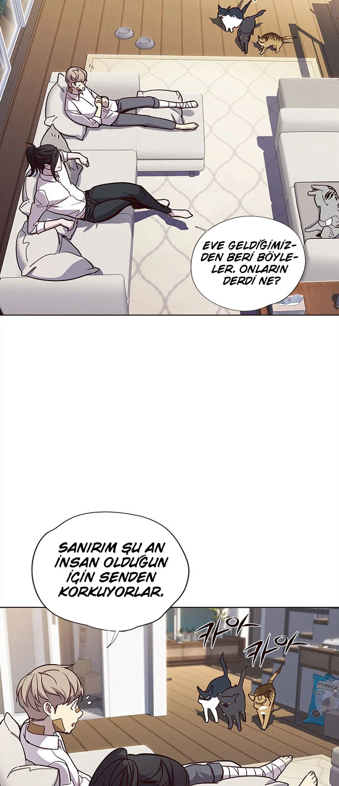 Eleceed - Bölüm 15 - Sayfa 47