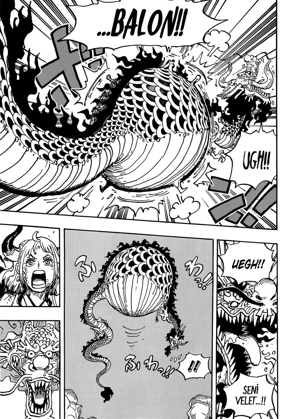 One Piece - Bölüm 1045 - Sayfa 5
