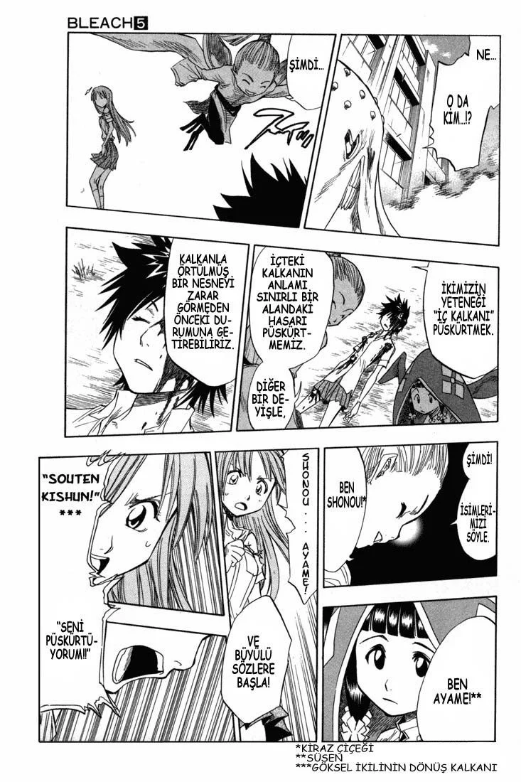Bleach - Bölüm 43 - Sayfa 13