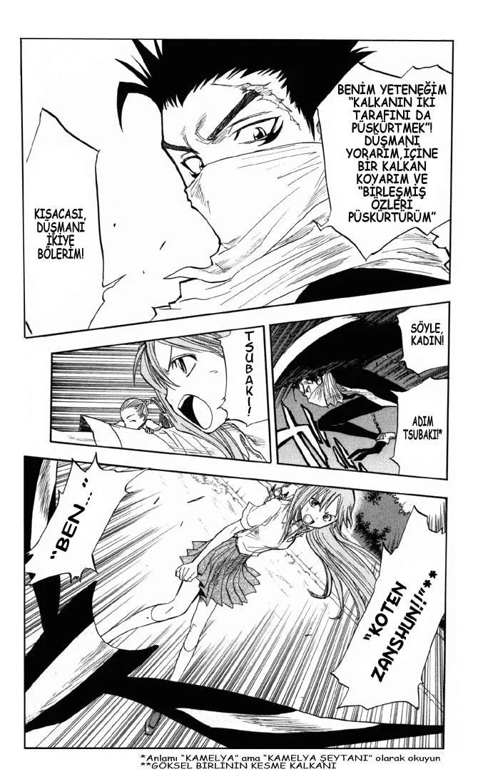 Bleach - Bölüm 43 - Sayfa 15