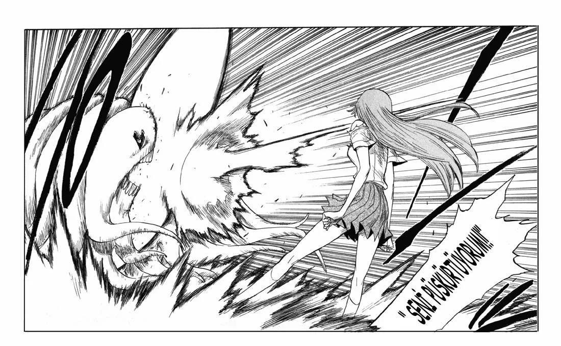 Bleach - Bölüm 43 - Sayfa 16
