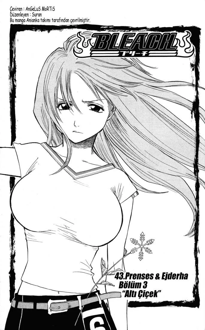Bleach - Bölüm 43 - Sayfa 5