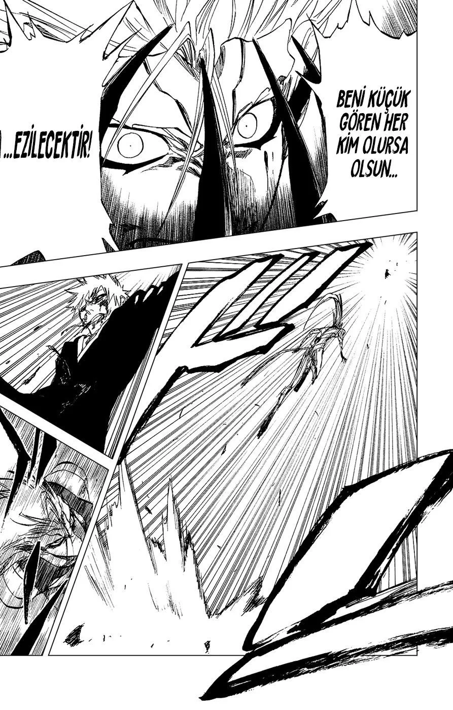 Bleach - Bölüm 284 - Sayfa 17