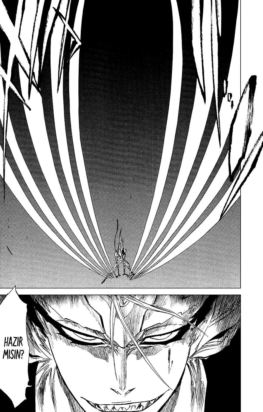 Bleach - Bölüm 284 - Sayfa 19