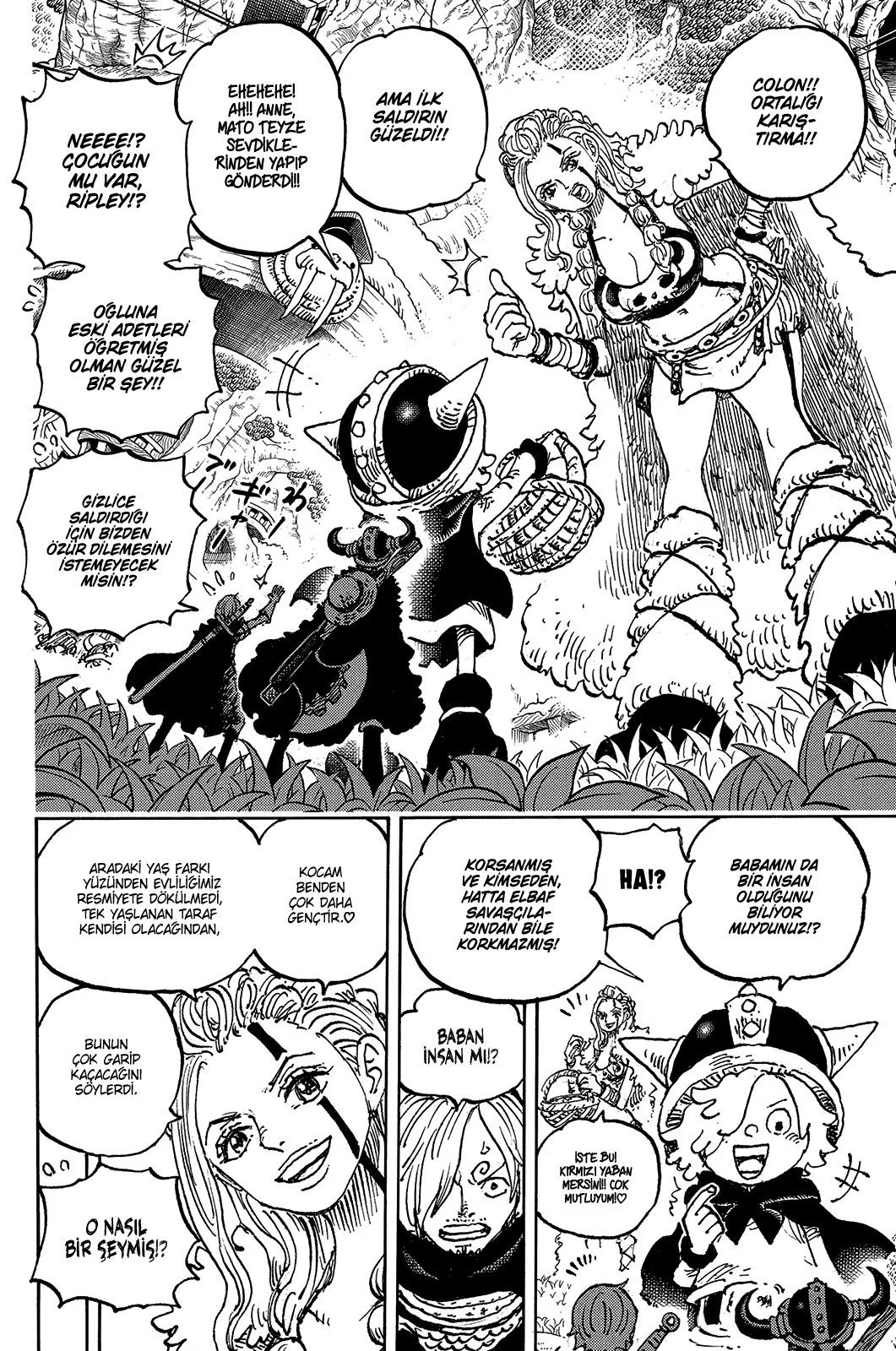 One Piece - Bölüm 1135 - Sayfa 10