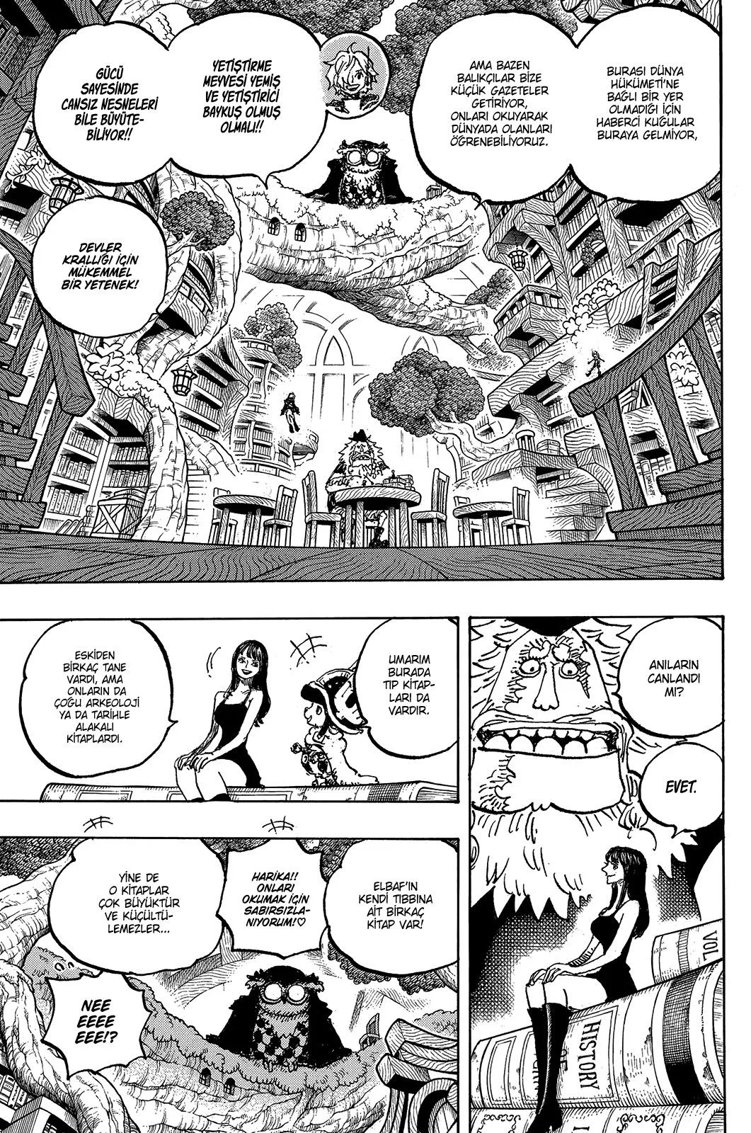 One Piece - Bölüm 1135 - Sayfa 5