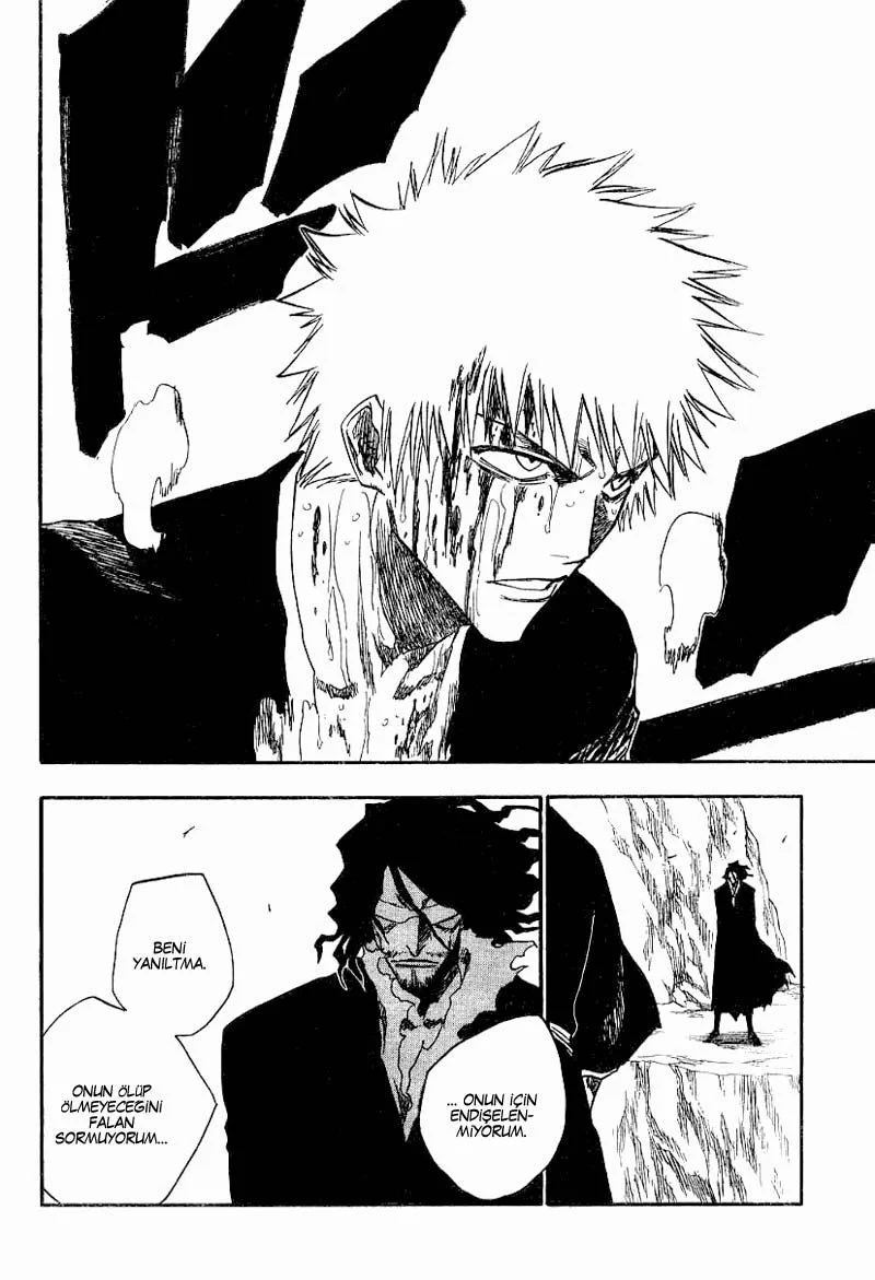 Bleach - Bölüm 137 - Sayfa 15