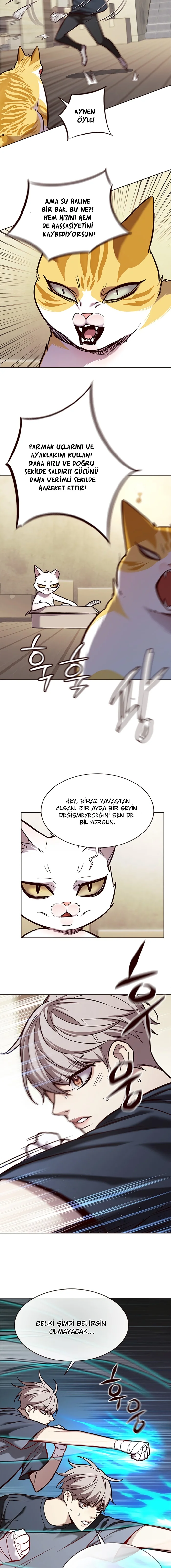 Eleceed - Bölüm 174 - Sayfa 10