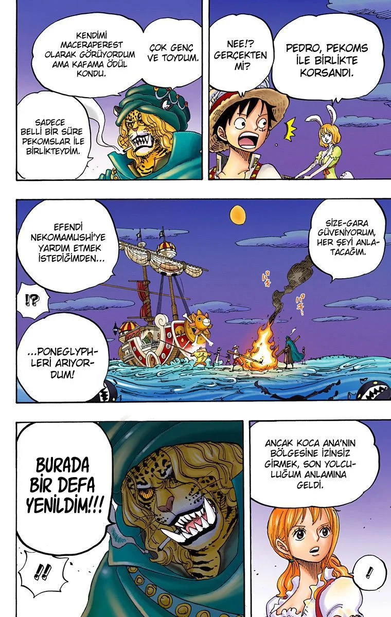 One Piece - Bölüm 830 - Sayfa 12