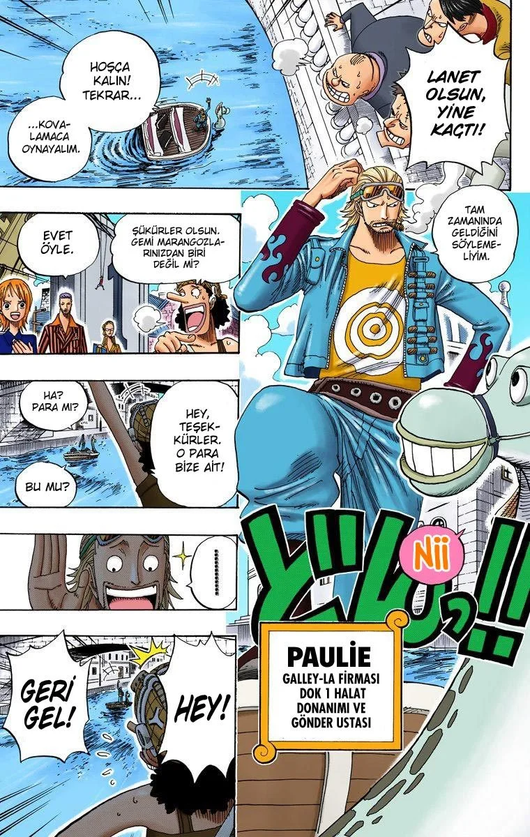 One Piece - Bölüm 326 - Sayfa 17