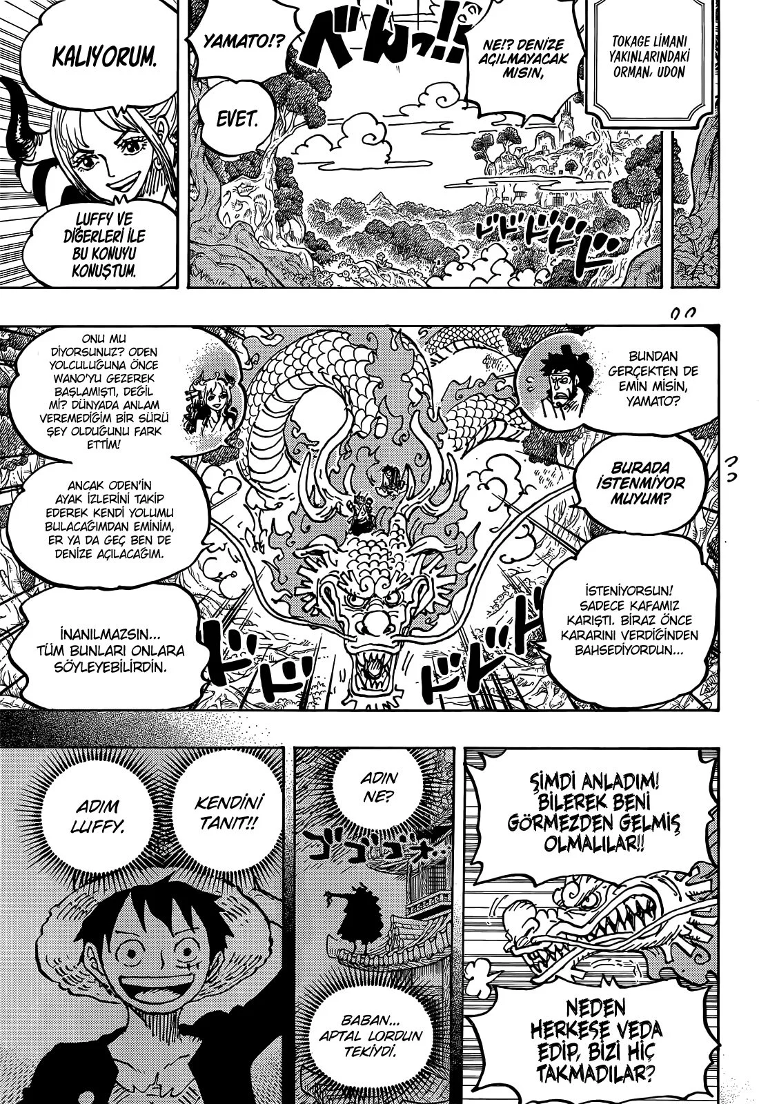 One Piece - Bölüm 1057 - Sayfa 4