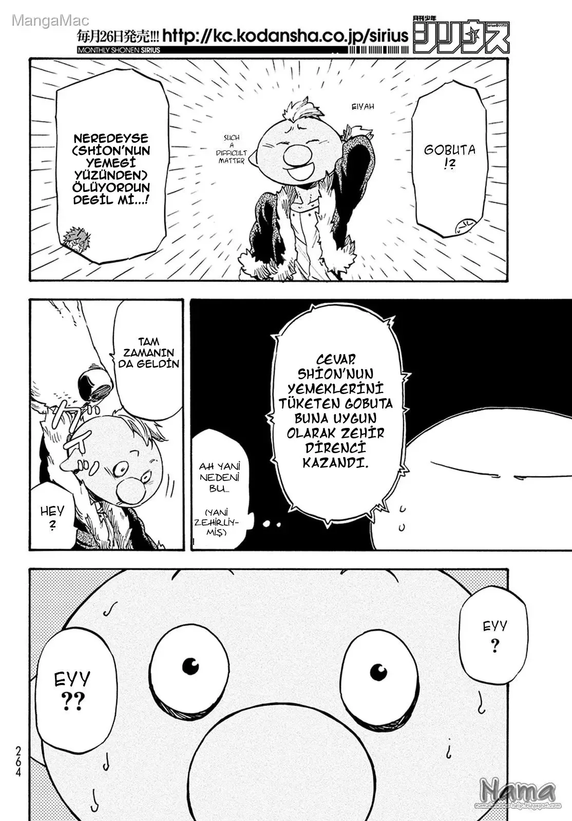 That Time I Got Reincarnated as a Slime - Bölüm 17 - Sayfa 11