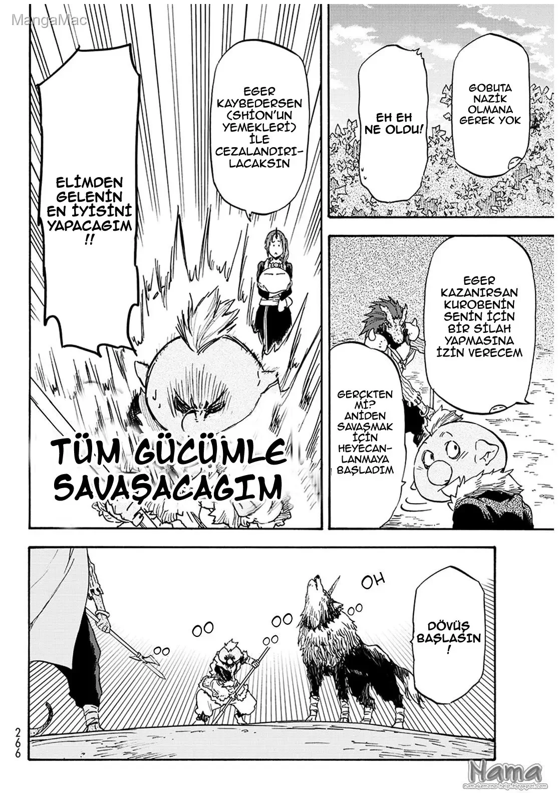 That Time I Got Reincarnated as a Slime - Bölüm 17 - Sayfa 13