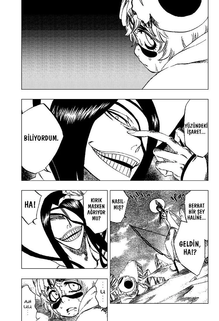 Bleach - Bölüm 289 - Sayfa 13