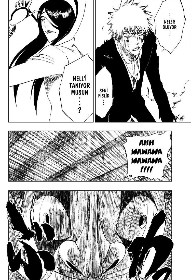 Bleach - Bölüm 289 - Sayfa 14